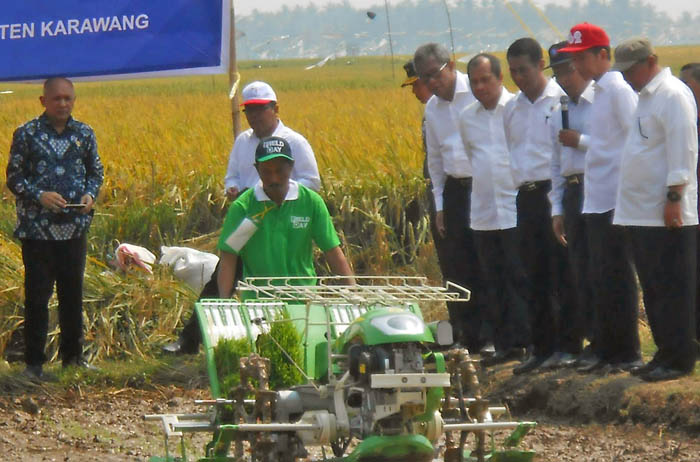 Mentan Lapor Presiden, 15 Juta Ton GKG Siap Panen Hingga Desember
